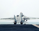 F-14 Tomcat (1280*1024)