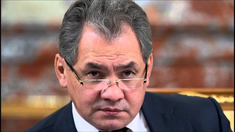 Президент России обозначил задачи Сергея Шойгу на посту главы Совет безопасности